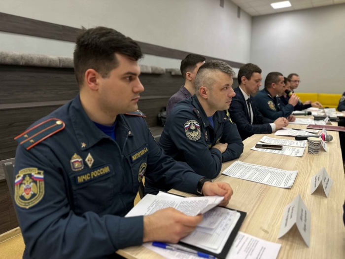 Круглый стол по вопросам реализации проверок в сфере пожарной безопасности в местах массового пребывания людей, 26.02.2025