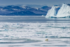 Новый год атомные ледоколы Росатомфлота встретят в Арктике