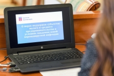 Правительство Мурманской области разработает дополнительные меры поддержки предпринимателей в сфере туризма и самозанятых граждан
